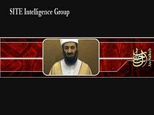 Imagen de Bin Laden del nuevo vdeo. (Foto: AFP)