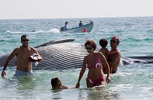 Una familia se aleja del cadver de la ballena. (Foto: EFE)