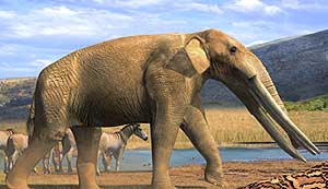 mastodonte zorg