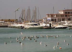 Imagen de archivo de el puerto de Santa Pola, donde tiene su base el pesquero 'Corisco'. (Foto: EFE)