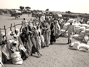 Distribucin de alimentos en un campo de desplazados en Darfur. (Foto: ACF)