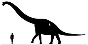 Comparación del tamaño del nuevo dinosaurio con el ser humano. (Foto: Universidad de Portsmouth)