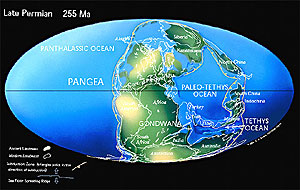Imagen de la pangea antes de que se crearan los continentes (Foto: NASA)
