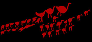 Aves migratorias en las paredes de la Cueva el Tajo de las Figuras. (Foto: H. Breuil)