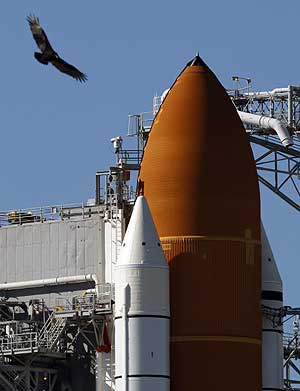 Un ave pasa junto al 'Atlantis', ya preparado en su rampa de lanzamiento (Foto: Stan Honda, AFP)
