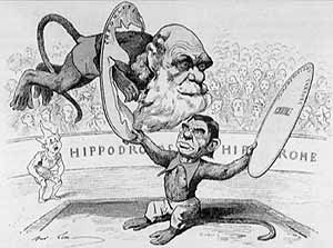Una de las muchas caricaturas que se hiceron en vida de Charles Darwin (EL MUNDO)