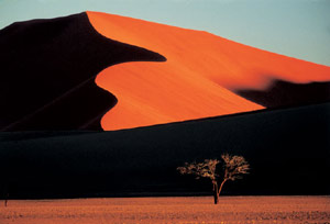 Las sinuosas dunas anaranjadas de Namibia. (Foto: Phillippe Bourseiller)