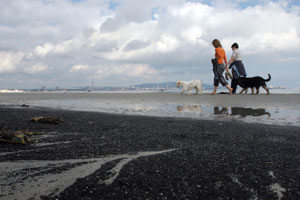 Dos personas caminan por la playa del Riconcillo, en Algeciras, en la que se aprecian nuevas machas de combustible. (Foto: EFE)