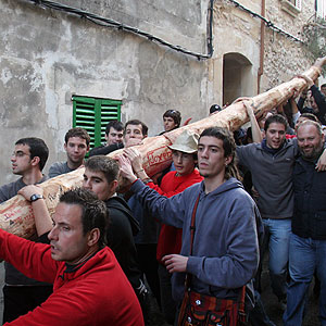 Los jvenes de Pollea marchan a colocar el pino en la Plaza Mayor (Foto: El Mundo)