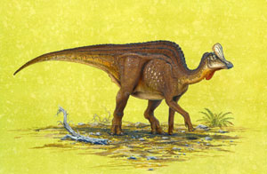 Dibujo figurado del nuevo dinosaurio (Foto: 'Journal of Vertebrate Paleontology'