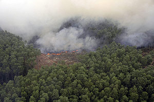 Imagen de un fuego forestal en la selva de Sumatra, en febrero de 2008. (Foto: REUTERS)