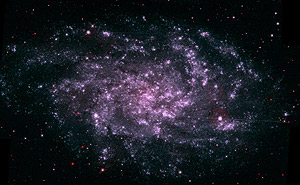 Imagen compuesta de la galaxia M33 vista por los instrumentos ultravioleta del 'Swift'. (Foto: NASA)