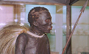 Un bosquimano disecado en el Museo Dardes de Banyoles. (Foto: EFE)