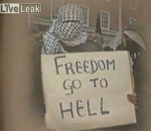 Imagen de una manifestante con un cartel que dice 'Libertad vete al infierno' y que aparece en 'Fitna'.