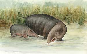 Dibujo de los moeritéridos, una especie de proboscídeos extinguida que está emparentada con los elefantes actuales. (Foto: PNAS)