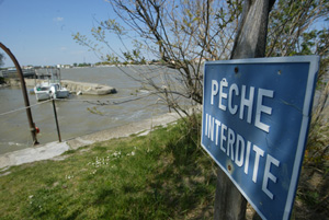 Un cartel anuncia la prohibicin de pescar al paso del Rdano por Port Saint Louis. (Foto: Quique Garca)