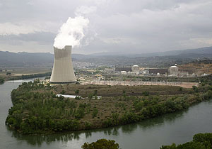 Vista de la central nuclear de Asc. (Foto: Reuters)
