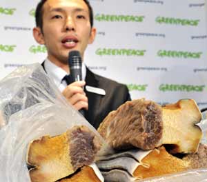 El activista de Greenpeace Junichi Sato muestra la carne de ballena que se pretenda introducir de contrabando en el mercado. (Foto: AFP)