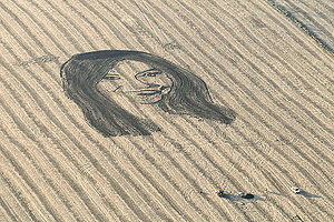 El retrato de Cristina Kirchner sobre un campo sojero, en la provincia argentina de Entre Ros.