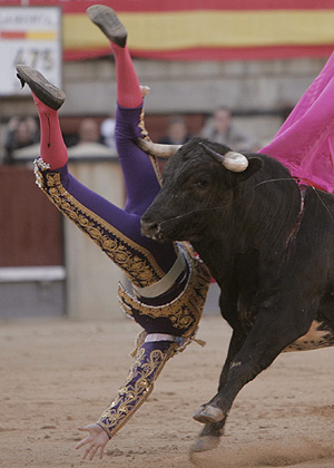 El diestro Octavio Garca 'El Payo' cuando fue embestido por el toro. (Foto: EFE)