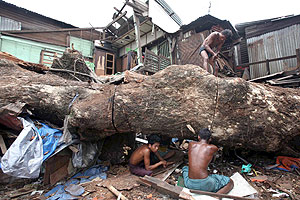 Varios supervivientes intentan quitar un rbol que aplast su casa. (Foto: EFE)