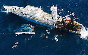 El buque 'Esperanza' de Greenpeace lanz dentr de la red del 'Albatun Tres' una pancarta con la leyenda 'Sin Pescado, Sin Futuro'. (Foto: AP)