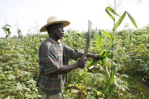 Granjero africano trabajando en el campo (Foto: Reuters)