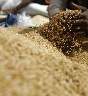 Un hombre removiendo granos de maz, alimento que ha disparado su precio. (Foto: AFP)