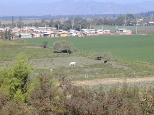 El Villorrio de Rancagua forma parte del programa de subsidio rural del gobierno. (Foto: Ministerio de Vivienda)
