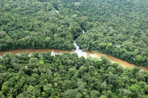 Vista general del Parque Nacional Yasun atravesado por el ro del mismo nombre en la selva amaznica ecuatoriana. (Foto: Jose F. Ferrer)