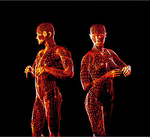 Cuerpo de un hombre y una mujer diseados por ordenador. (Foto: PNAS)