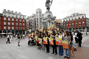 Protesta celebrada en la Plaza Mayor de Valladolid. (Foto: Pablo Requejo)
