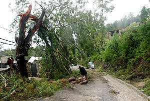 Un hombre corta un árbol caído por el impacto de 'Hanna' en una carretera de Kenscoff (Haití). (Foto: AFP)