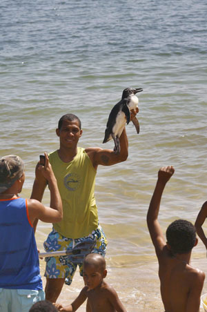 Un joven sostiene un ejemplar de pingüino llegado a la playa de Porto da Lenha en Salvador de Bahía, Brasil. (Foto: Arestides Baptista)