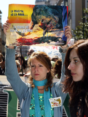 El Partido Antitaurino contra el Maltrato Animal durante la cuarta protesta contra el 'Toro de la Vega', que se celebra en Tordesillas. (Foto: Ical)