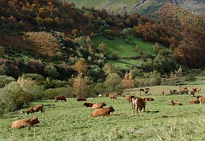 Fotografía de archivo del Parque Natural de Somiedo, en el suroccidente de Asturia. (Foto: EFE)