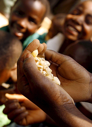 Nios recogiendo maz del Plan Mundial de Alimentos en Malawi. (Foto: EFE)