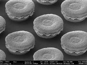 Imagen de nanodispositivos, que ha recibido el primer premio en el concurso de fotografa cientfica del congreso internacional Micro-Nano Engineering 2008. (Foto: CSIC)