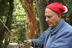 Gary Strobel corta unas ramas mientras trabaja en un bosque de la Patagonia. (Foto: Gary Strobel, Universidad del Estado de Montana)