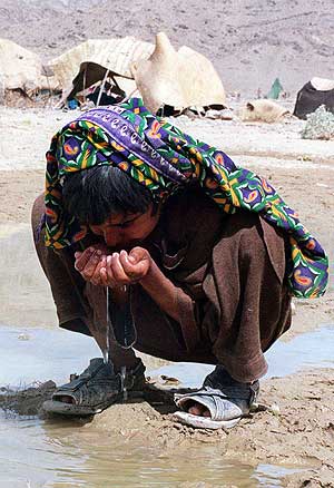 Un nio bebiendo agua estancada. (Foto: AP)
