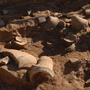 Restos arqueológicos encontrados en las obras de Son Espases el pasado febrero. (Foto: Pep Vicens)