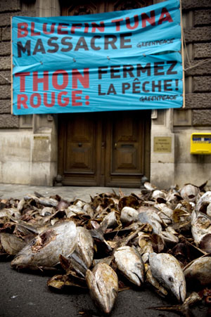 Manifestacin de Greenpeace en Pars contra la 'masacre' de atunes, frente al Ministerio de Agricultura. (Foto: AFP)