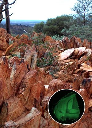 La zona de Jack Hills, en Australia, donde se han hallado los zircones más antiguos del planeta, con una edad de más de 4.000 millones de años. (Foto: B. Watson & M. Hopkins / Nature)