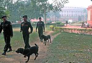 Soldados paramilitares indios montan guardia con perros polica frente al Parlamento de Nueva Delhi. (Foto: EFE)