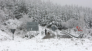 Temporal de fro y nieve en el Bierzo, en Len (FOTO ICAL)