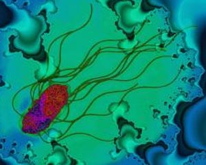 La bacteria de la Salmonella captada por un microscopio. (Foto: Science Photo Library)