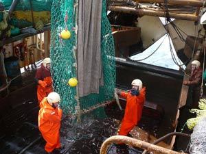 El sector pesquero entrará en una crisis sin retorno si no se toman medidas estrictas de control. (Foto: ACCP)