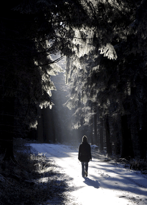 Una mujer pasea por un soleado bosque de conferas erca de la localidad de Monschau, Alemania. (Foto: EFE)