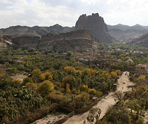 Una plantación de qat en Yemen. (Foto: AP | Paul Schemm)