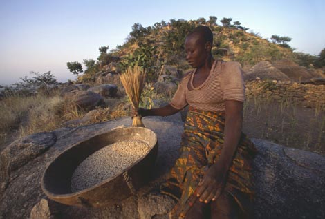 Una mujer camerunesa extrae el grano del sorgo. (Foto: CORBIS)